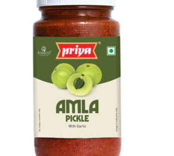 PRIYA AMLA PICKLE 300G
