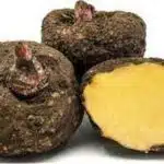 FRESH SURAN 400- 500 GR