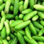 FRESH TINDLI 500 GR