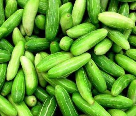 FRESH TINDLI 500 GR