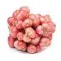SMALL ONION 250 GRAM
