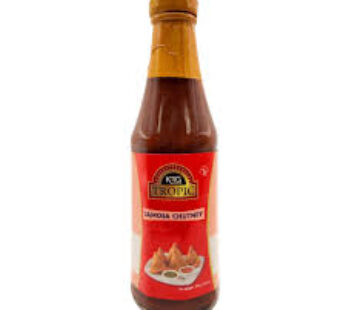 KRG MINT CHUTNEY 340 G