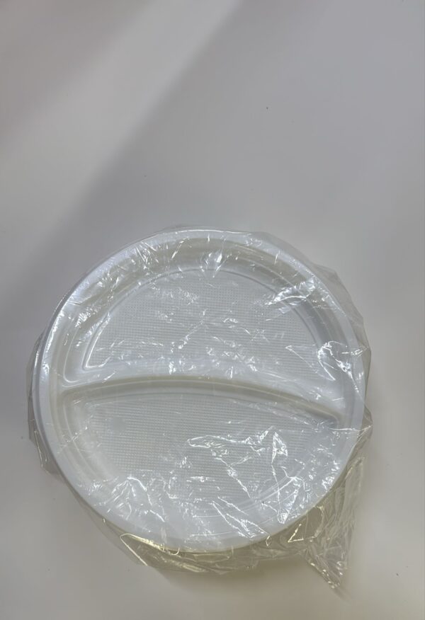 PLASTIC PLATES WITH 2 COMPARTMENT 100 PCS