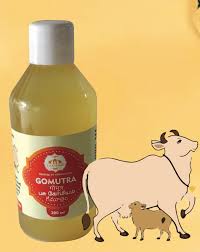 LAKSHMI KOMIUM(GOUMUTRA WATER) 200 ML
