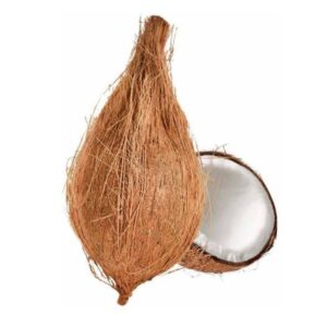 COCONUT WITH TAIL