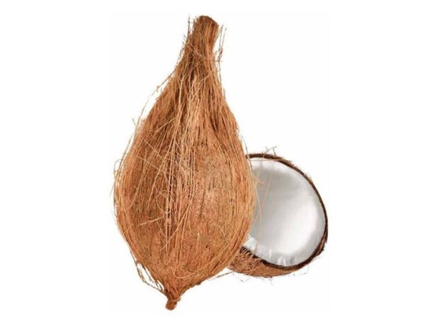 COCONUT WITH TAIL