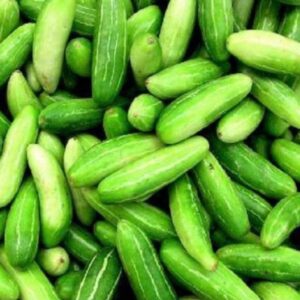 TINDLI FRESH P/KG