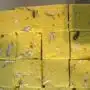 Fresh mango burfi 450-500 gr