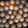 Gulab jamun 1 pcs