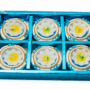 10 PCS FLOWER DIYA FDW 26