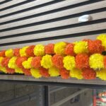 MIX MARIGOLD PAIR