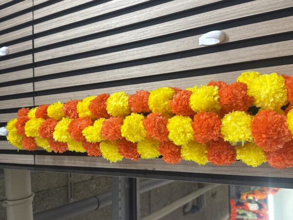 MIX MARIGOLD PAIR
