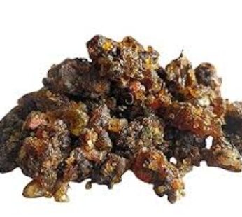 NAWAB GUGGAL 80 GR