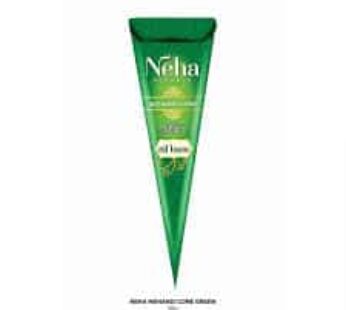 NEHA MEHNDI CONE 25G