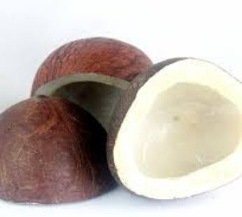 TRS DRIED COCONUT HALF (KHOPA) 250GM