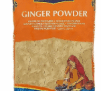 TRS GINGER POWDER 400G