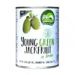 YOUNG GREEN JACKFRUIT 280 GR