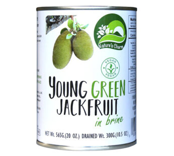 YOUNG GREEN JACKFRUIT 280 GR