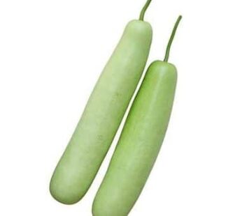 FRESH LAUKI 400-500 GR