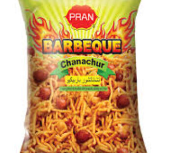 PRAN BARBEQUE CHANACHUR 300 GR