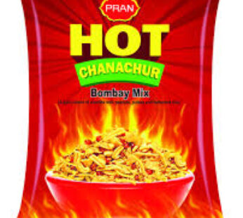 PRAN HOT CHANACHUR MIX 300GR