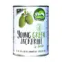 YOUNG GREEN JACKFRUIT 280 GR