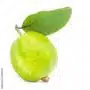 FRESH GUAVA 1PCS