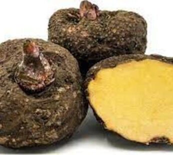 FRESH SURAN 400- 500 GR