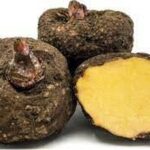 FRESH SURAN 400- 500 GR