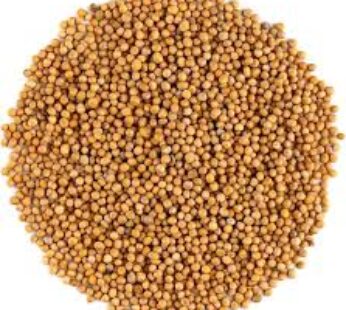 NAWAB YELLOW MUSTARD SEEDS 100G