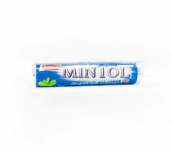 PARLE MINTOL 18G