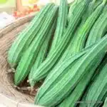 RIDGE GOURD 400-500 GRAM