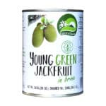 YOUNG GREEN JACKFRUIT 280 GR