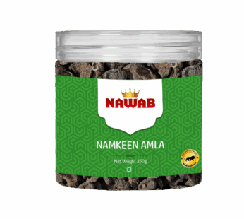 NAWAB NAMKEEN  AMLA CANDY 250G