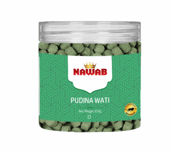 NAWAB PUDINA WATI 250G