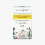 SAMAARA TURMERIC ASHWANGANDHA HERBAL TEA