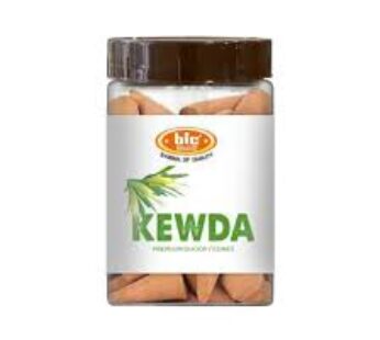 BIC KEWDA DHOOP CONES 100 GR