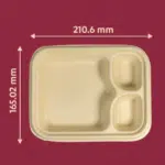 DISPOSABLE SNACK TRAY